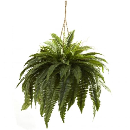 Nearly Natural Double Giant Boston Fern Hanging Basket 6788